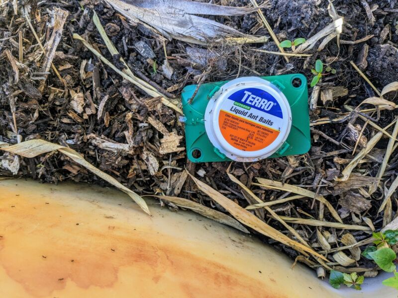 Ant Rid Block How to Get Rid of Ants in the Garden - Reformed Acres
