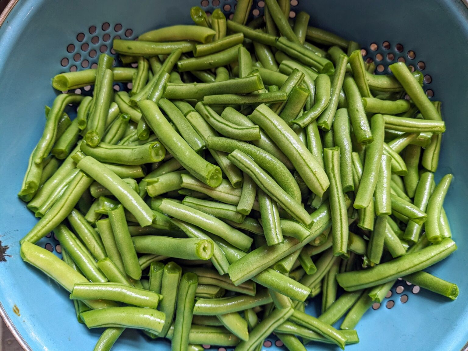 Pressure Canning Green Beans Reformed Acres Pressure Canning Green Beans Reformed Acres