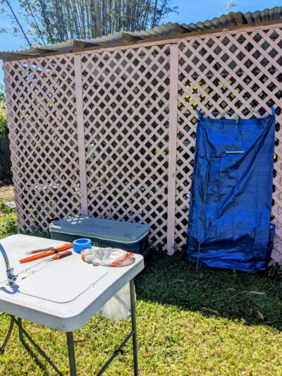 rabbit processing set up outdoors 