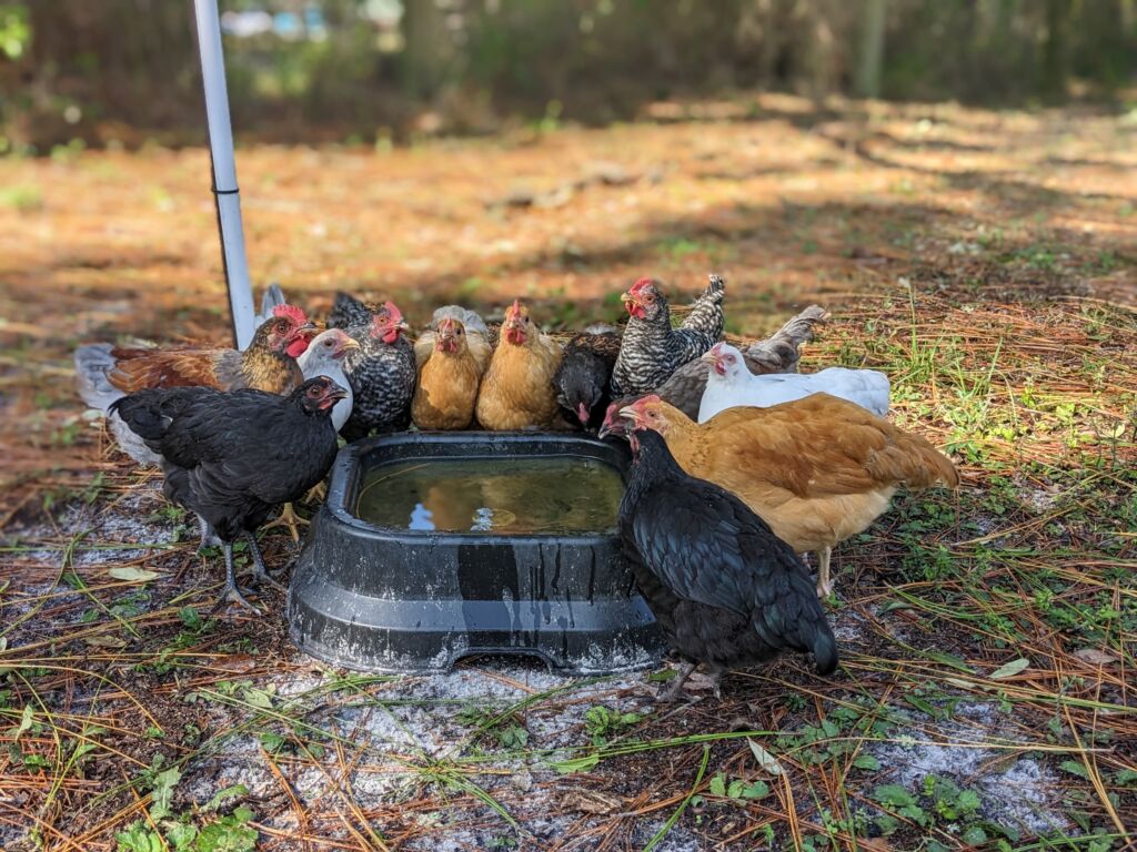 Patch Notes 0.195 - Fall Fantasy: Of Barns and Briars, image size:1024x768